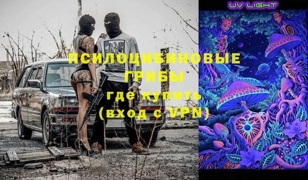 мдпв Осташков