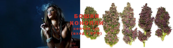 мдпв Осташков