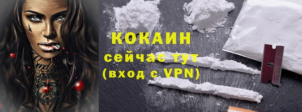 гидра Пересвет