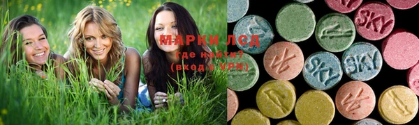 мдпв Осташков