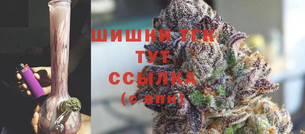 гидра Пересвет