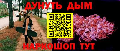 apvp Гай