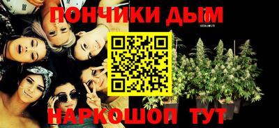 jwh Гатчина
