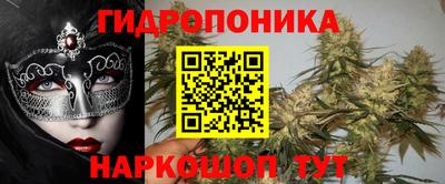 СК Гагарин