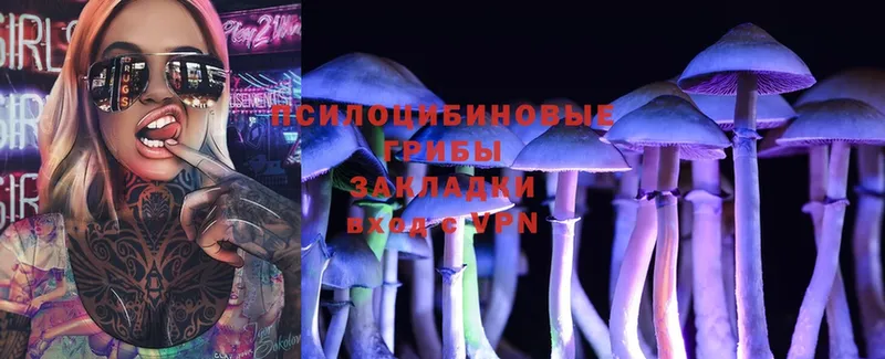 hydra   Тара  Галлюциногенные грибы MAGIC MUSHROOMS 