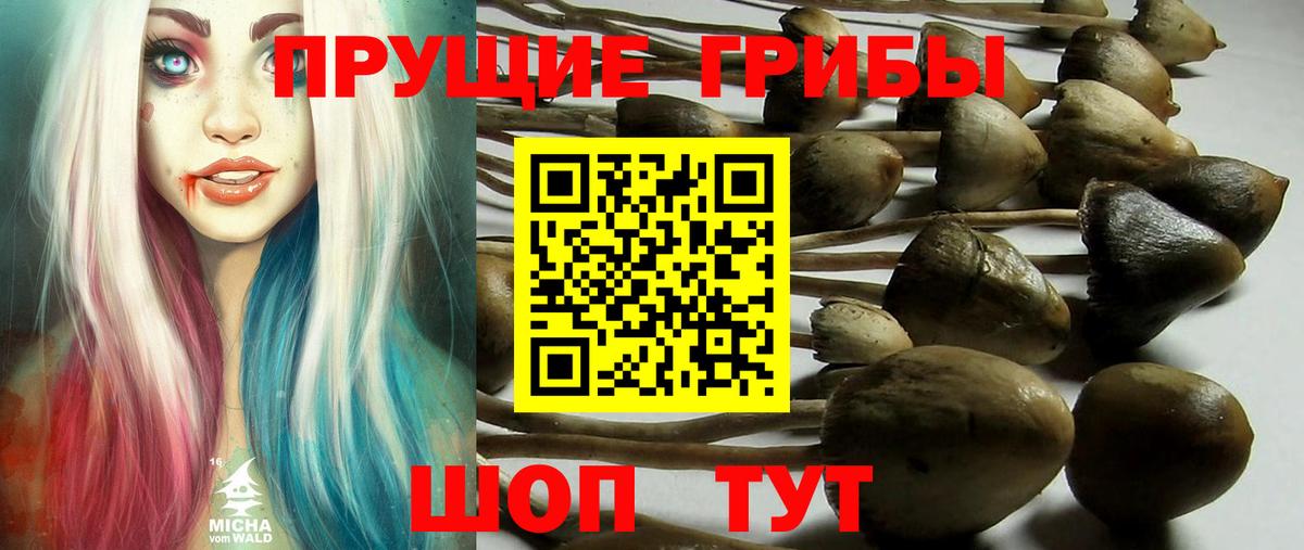 Галлюциногенные грибы Magic Shrooms Тара